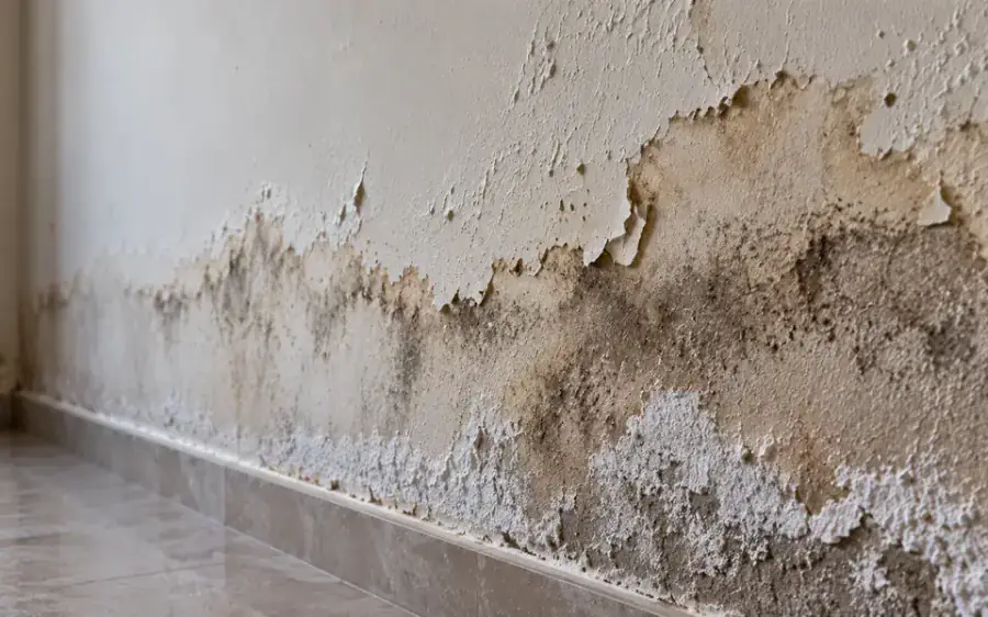 Interior wall showing water staining and damp damage